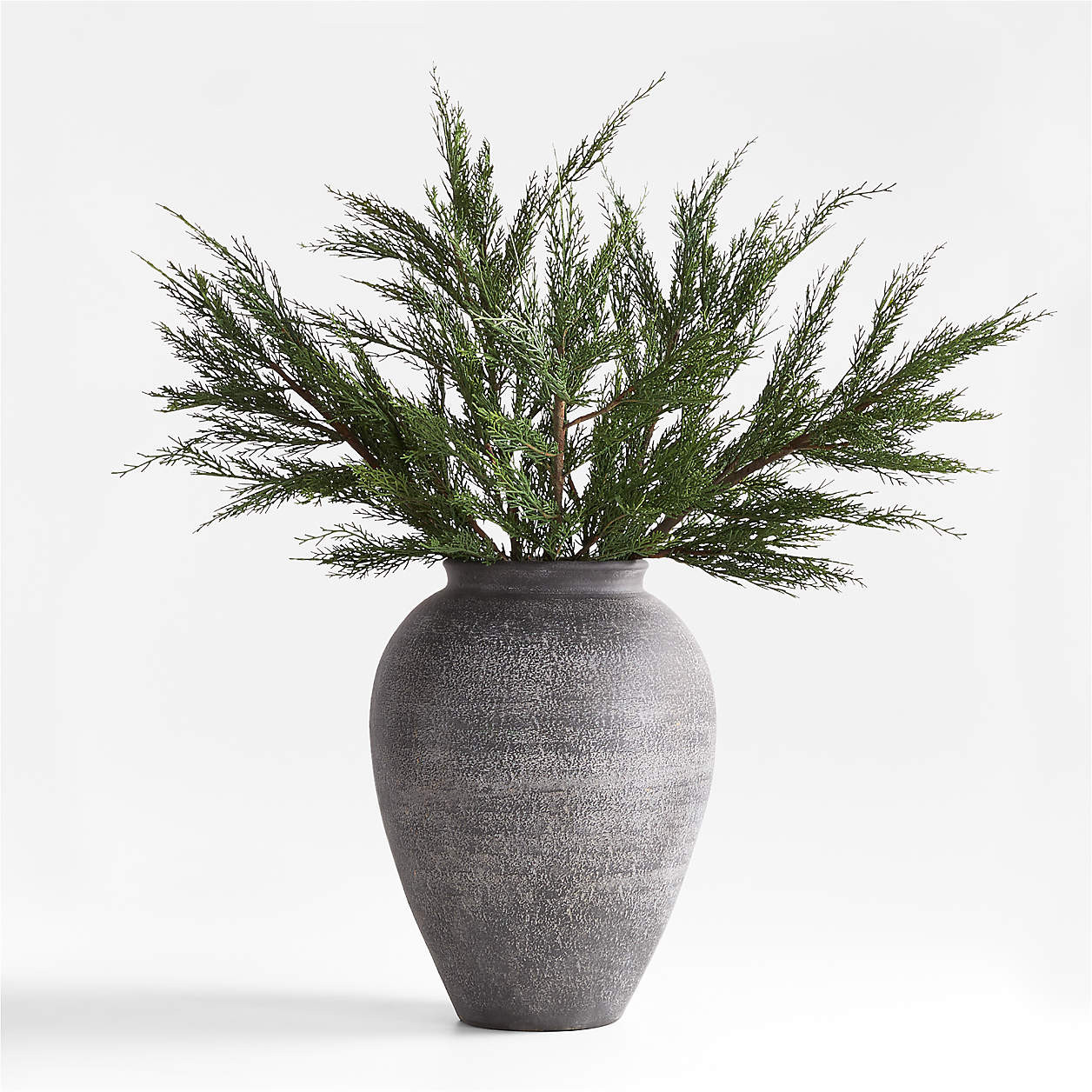 Cypress Stem Arrangement in Ophelia Matte Large Black Vase | Crate & Barrel | Crate & Barrel