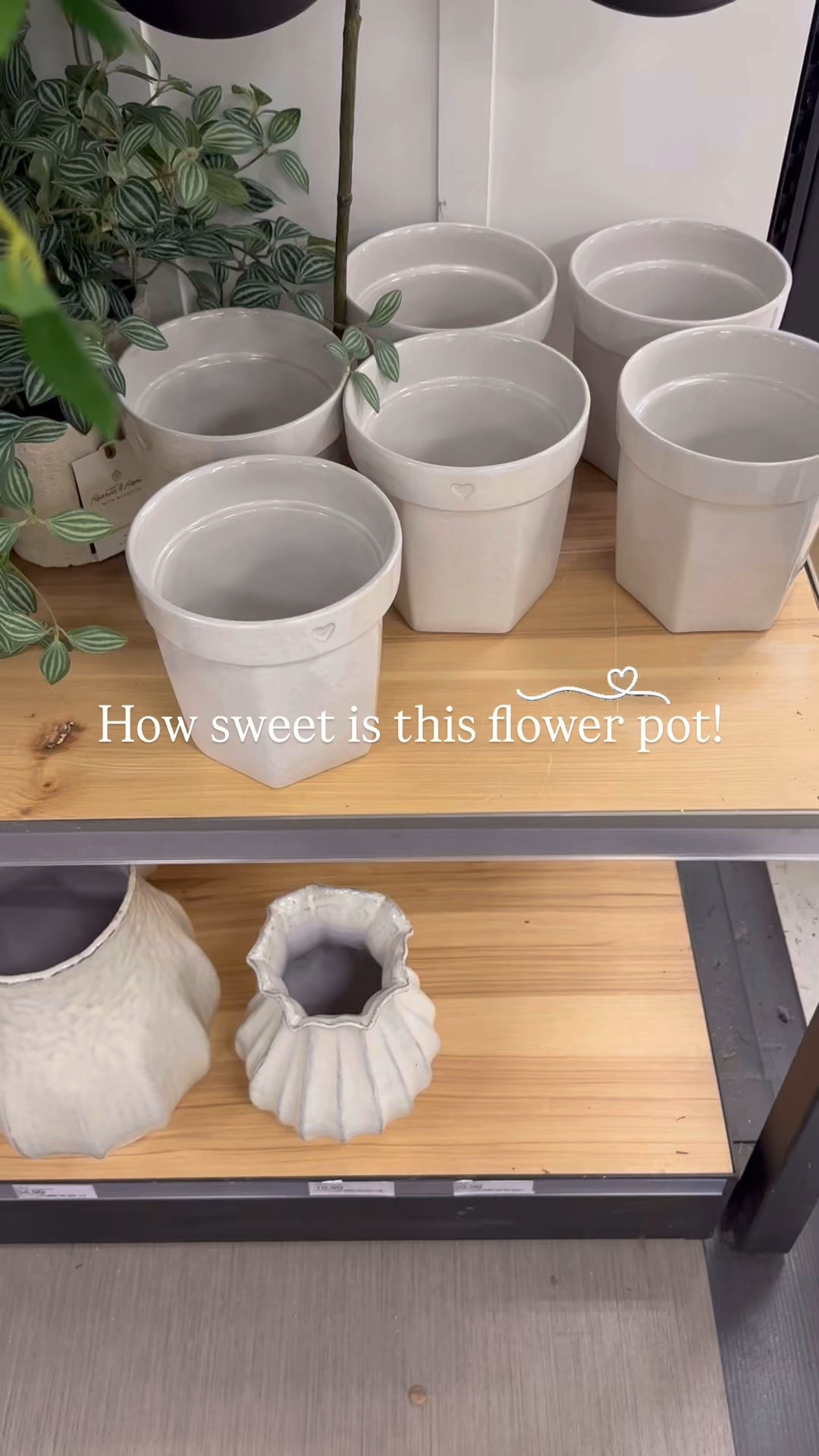 This flower pot is just the sweetest  

#LTKFindsUnder50 #LTKSeasonal #LTKHome