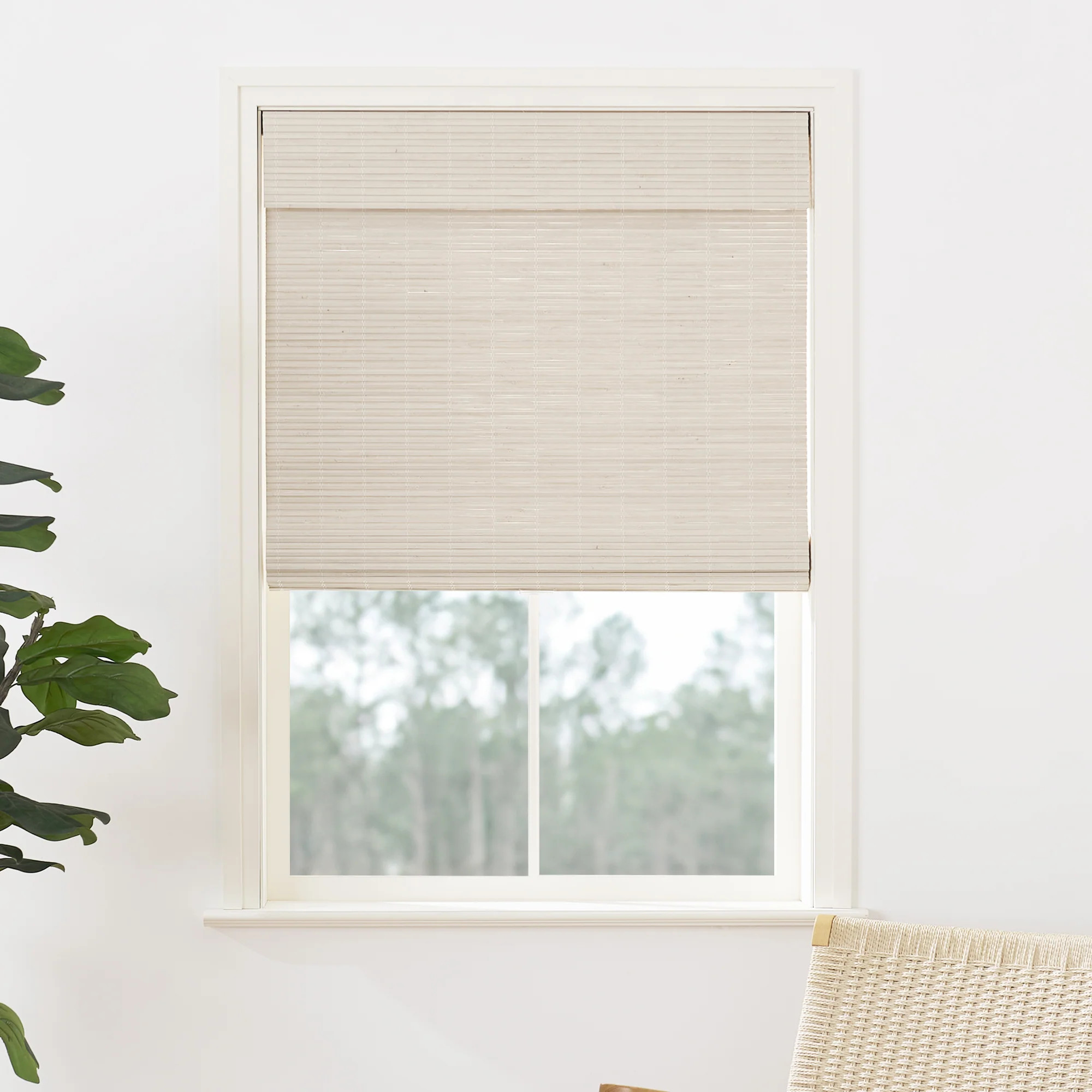 Panda Woven Bamboo Blinds & Shade|Bone White | Tailorvibe