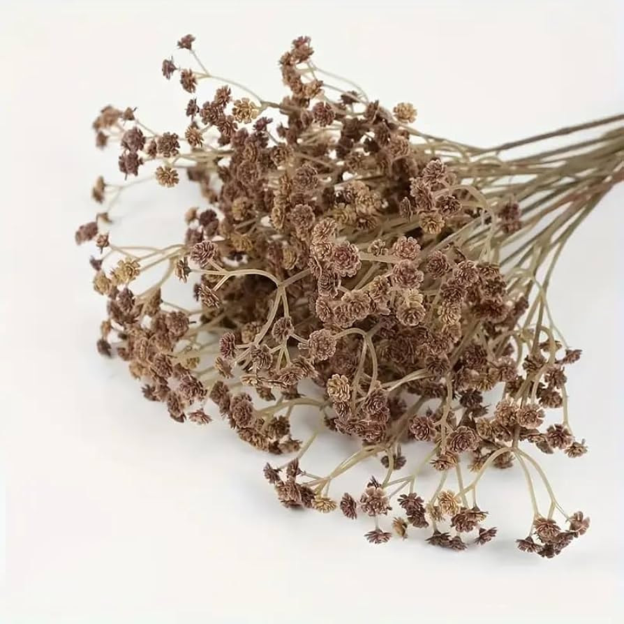 Artificial Baby's Breath Flowers, White Pink Cameo Brown, Plastic Stems, 19 Inch, UV-Resistant Gy... | Amazon (US)
