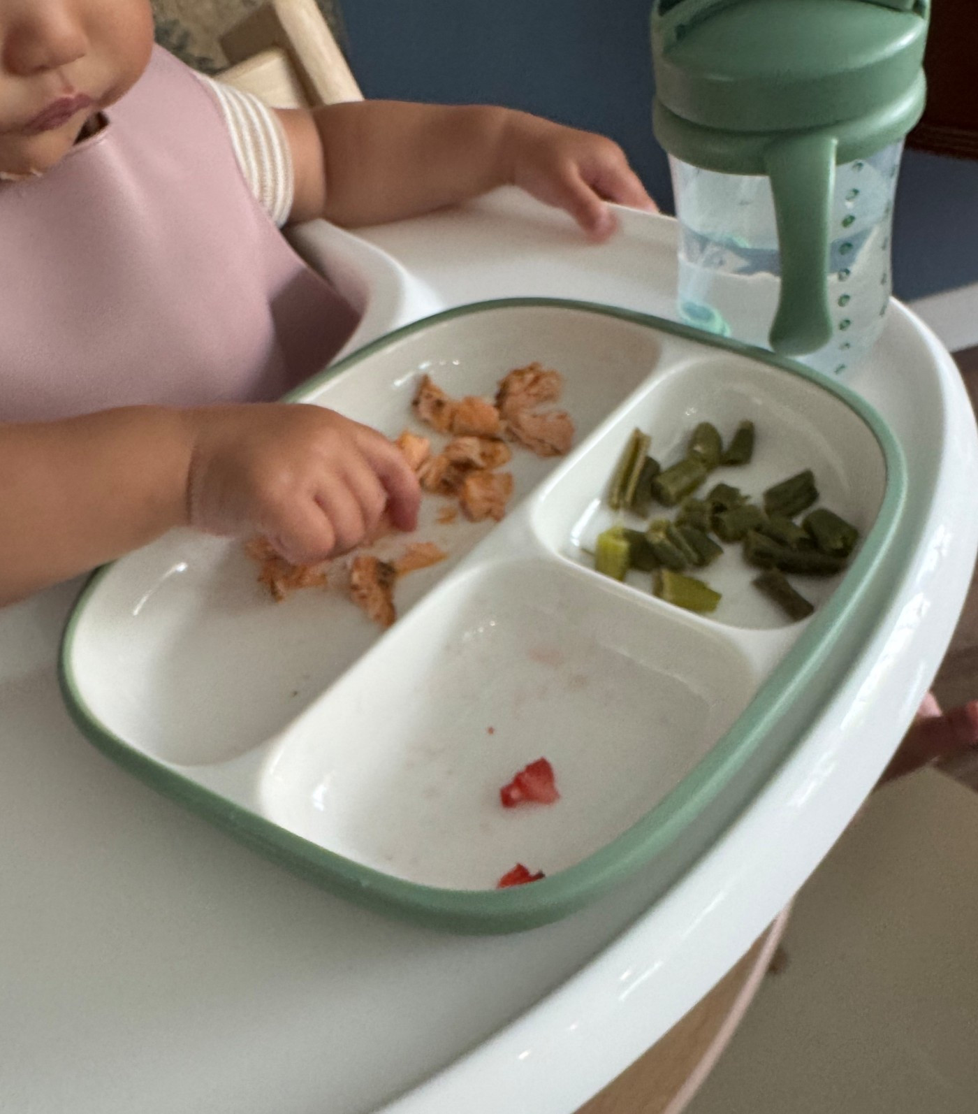 porcelain plates with suction, perfect for BLW and solids 😋 