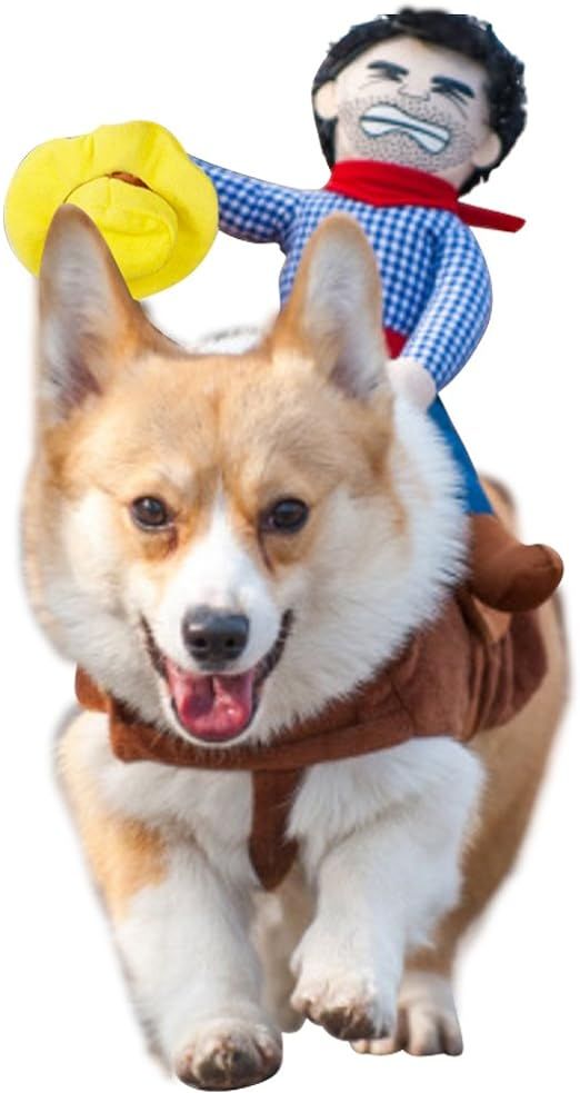 NACOCO Cowboy Rider Dog Costume for Dogs Clothes Knight Style with Doll and Hat for Halloween Day... | Amazon (US)