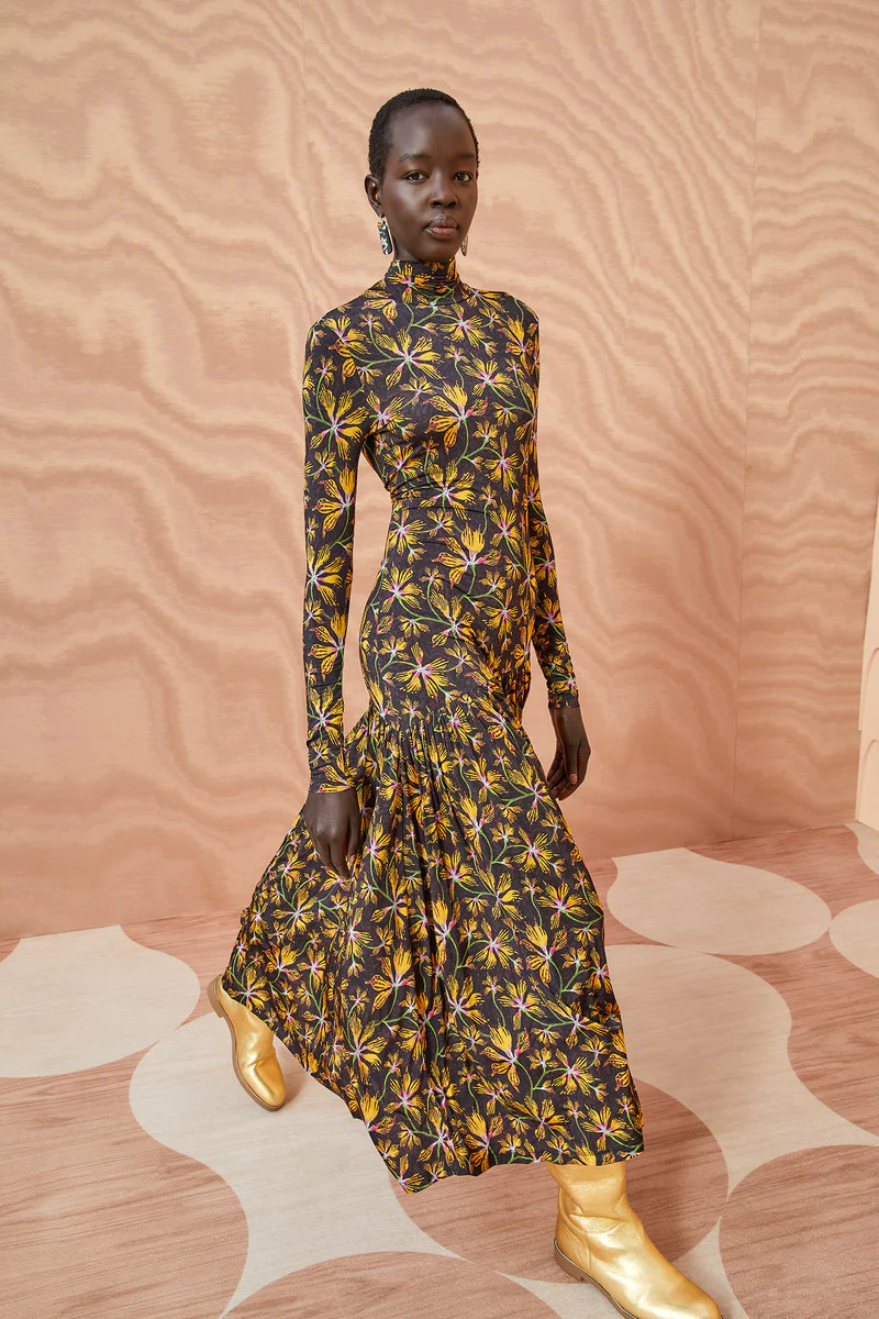 Fernanda Dress

      Maple | Ulla Johnson