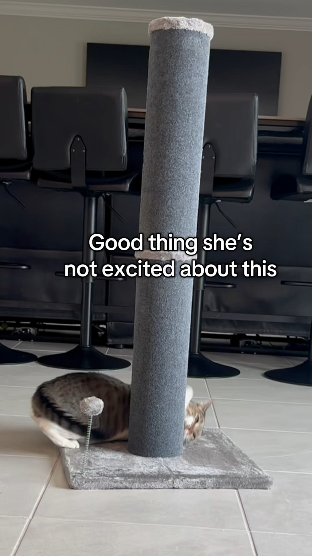 #LTKFamily #LTKPets #LTKSaleAlert