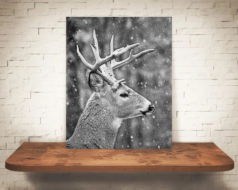Deer Buck Photograph - Black White Photo - Fine Art Print - Animal Pictures - Wall Art - Nature Prin | Etsy (US)