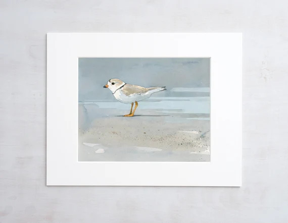 Piping Plover Beach Art Print Coastal Decor Seashore Wall Art | Etsy | Etsy (US)