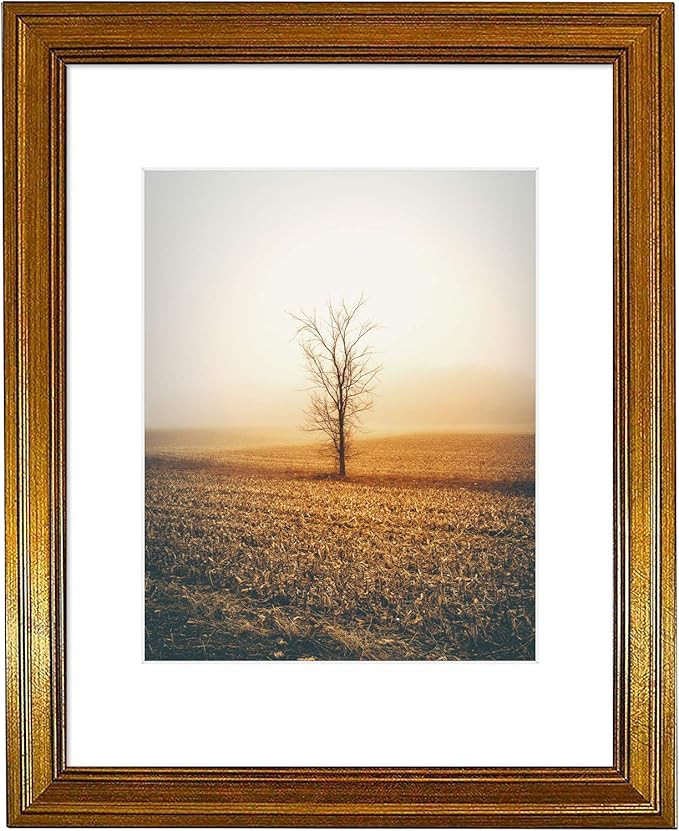 Golden State Art, 11x14 Photo Frame with White Mat for 8x10 Pictures & Real Glass, 1.25-Inch Wide... | Amazon (US)