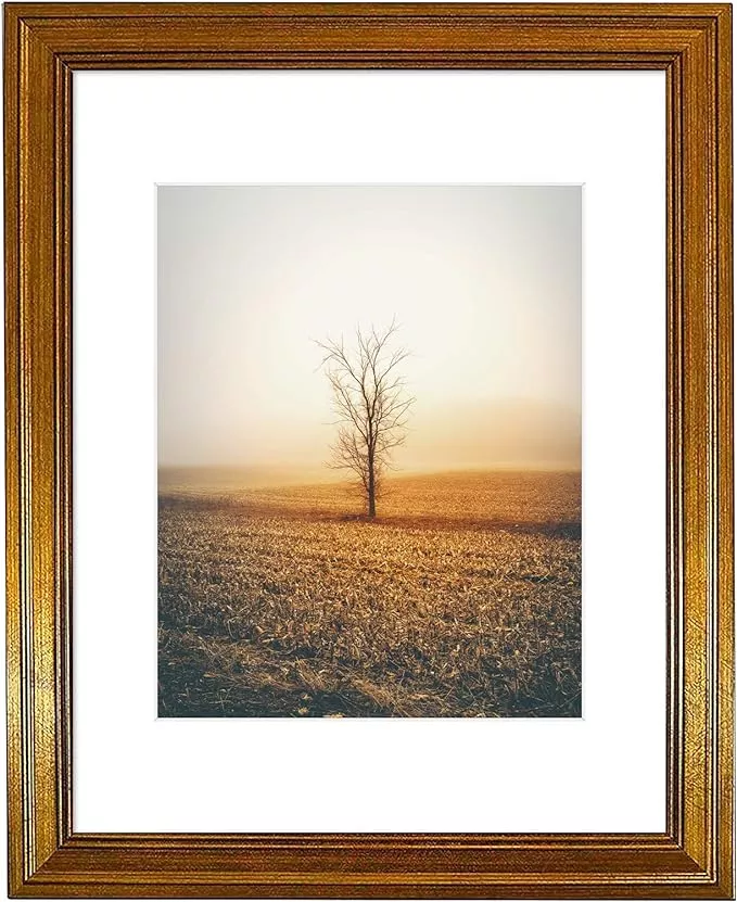 Creative Mark Plein Air Wooden Picture Frame 11x14 inch Gold