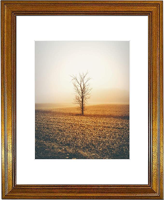 Golden State Art, 11x14 Photo Frame with White Mat for 8x10 Pictures & Real Glass, 1.25-Inch Wide... | Amazon (US)