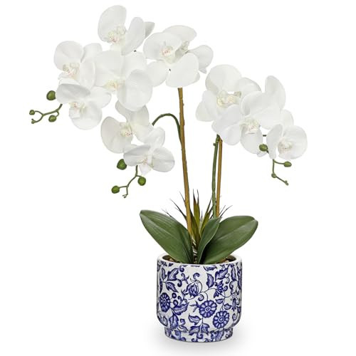 Briful Orchid Artificial Flowers 19.6in White Orchid Silk Floral Arrangement with Blue and White Ceramic Pot Fake Orchid Plant for Home Office Dining Room Table Centerpiece Decor | Amazon (US)