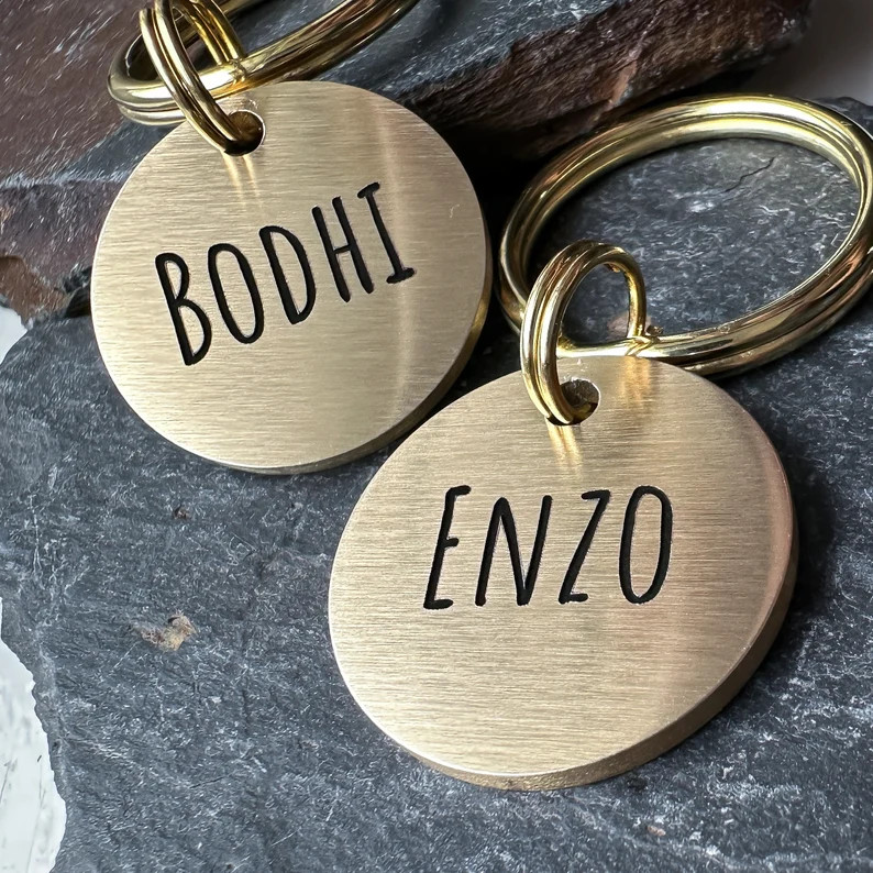 Solid Chunky Dog Name Tag, Plain Brass or Stainless Steel Dog Collar Charm, Gift for Dog Lover, C... | Etsy (US)