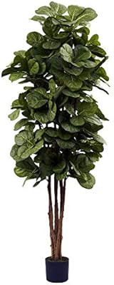 Nearly Natural 6ft Fiddle Leaf Fig Artificial Trees, 72in, Green | Amazon (US)