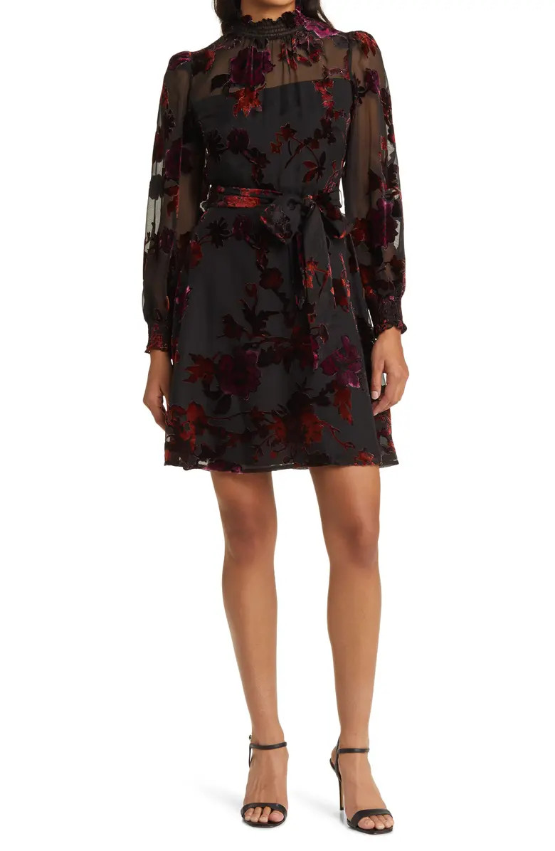 Smocked Trim Long Sleeve Velvet Burnout Dress | Nordstrom