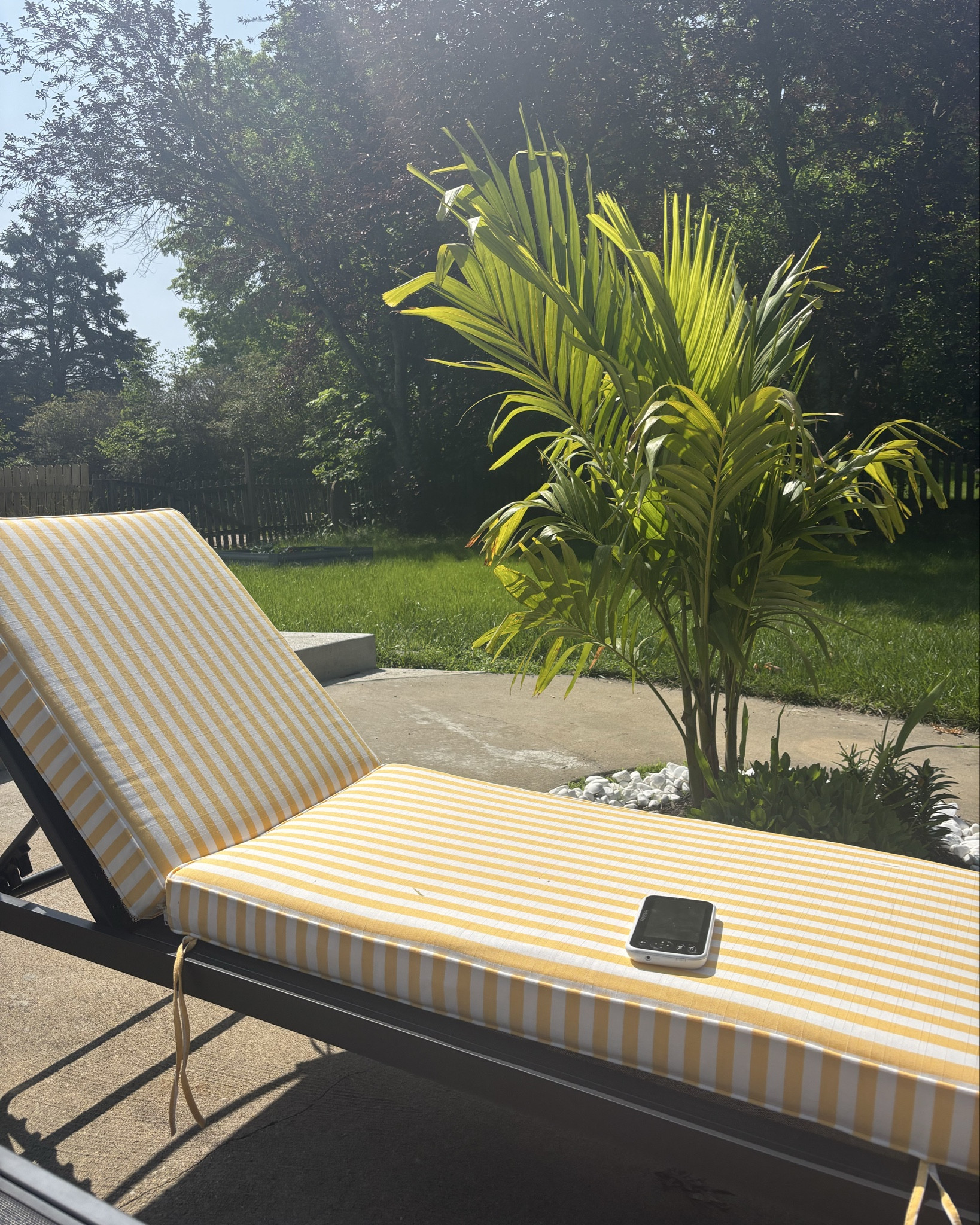 The best outdoor cushions I’ve ever had! Sunbrella fabric lasts for YEARS in the sun without fading or getting mold. It’s an investment up front but these hold up so well to the elements and are SO comfy too! ☀️ love the butter yellow stripe! 

#LTKSummerEdit #LTKSeasonal