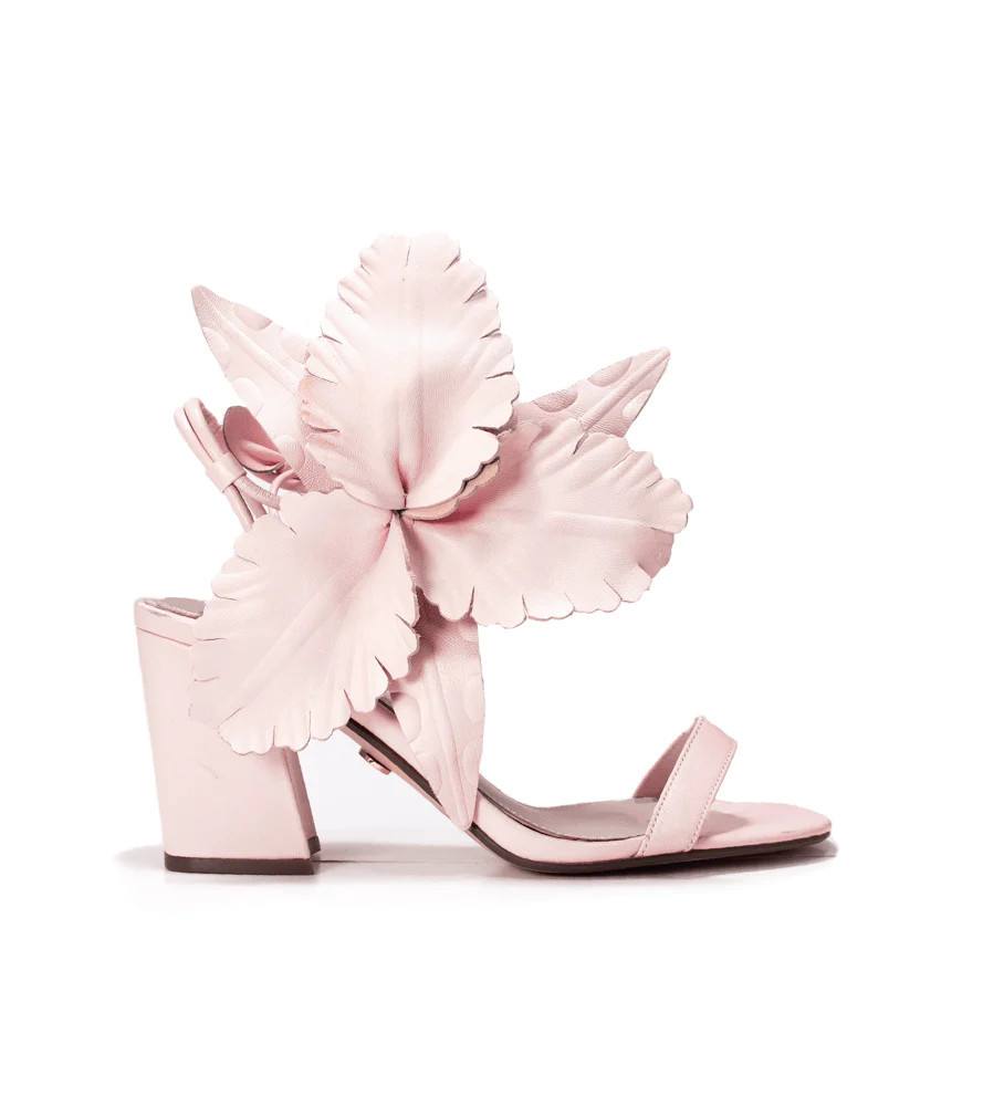 HIBICSUS | Cecelia New York