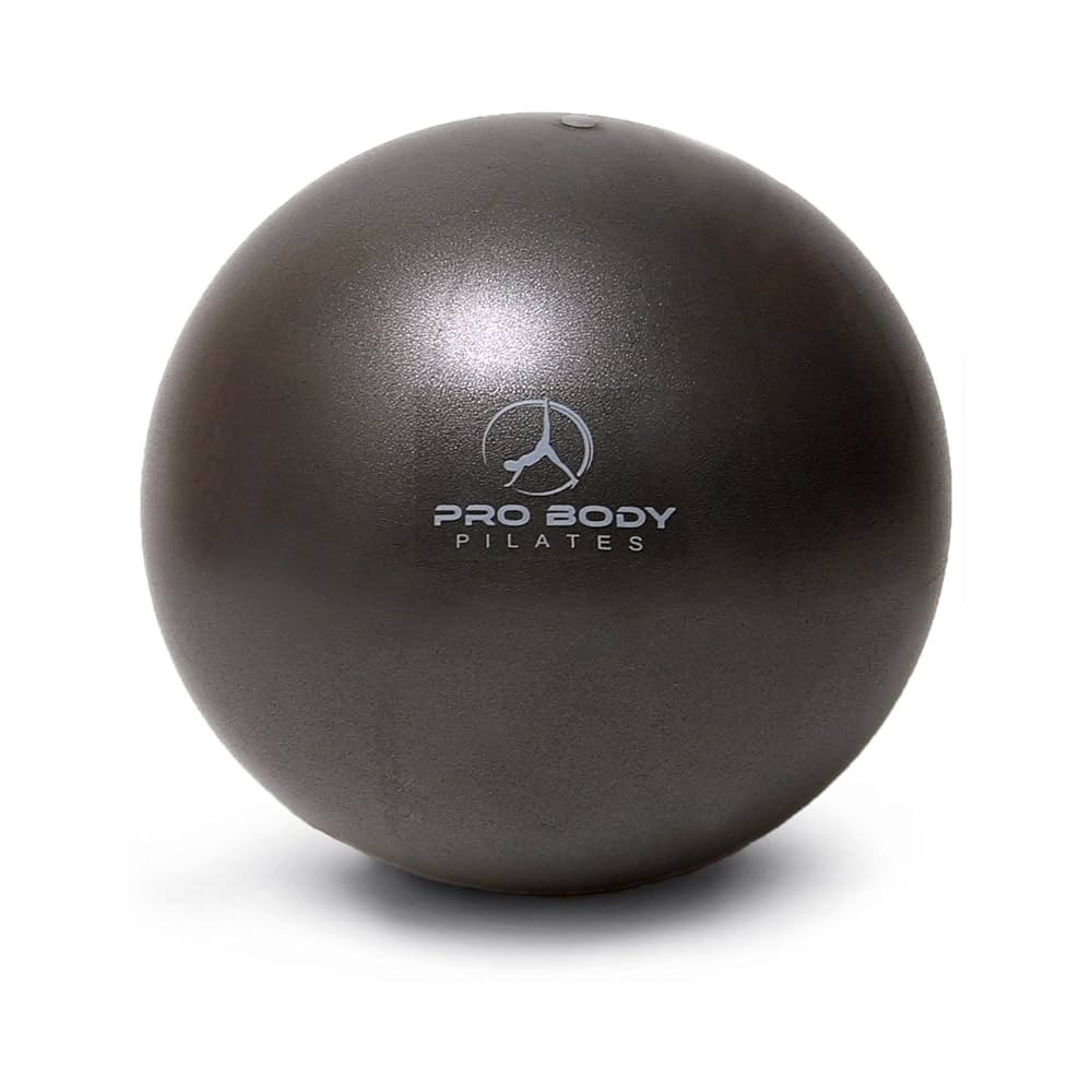 ProBody Pilates Small Exercise Ball - 9 Inch Workout Ball for Stability, Barre, Yoga, Core & Phys... | Amazon (US)