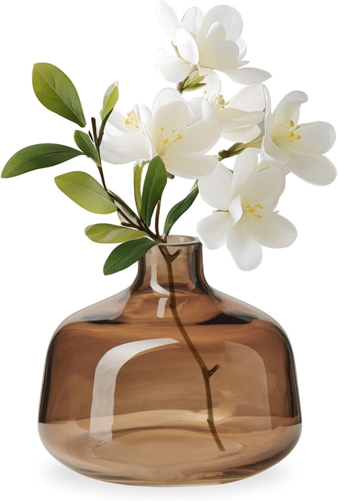 Torre & Tagus Belle Mouth Blown Art Glass Vase for Flowers - 4" Tall Clear Light Brown Colorful V... | Amazon (US)