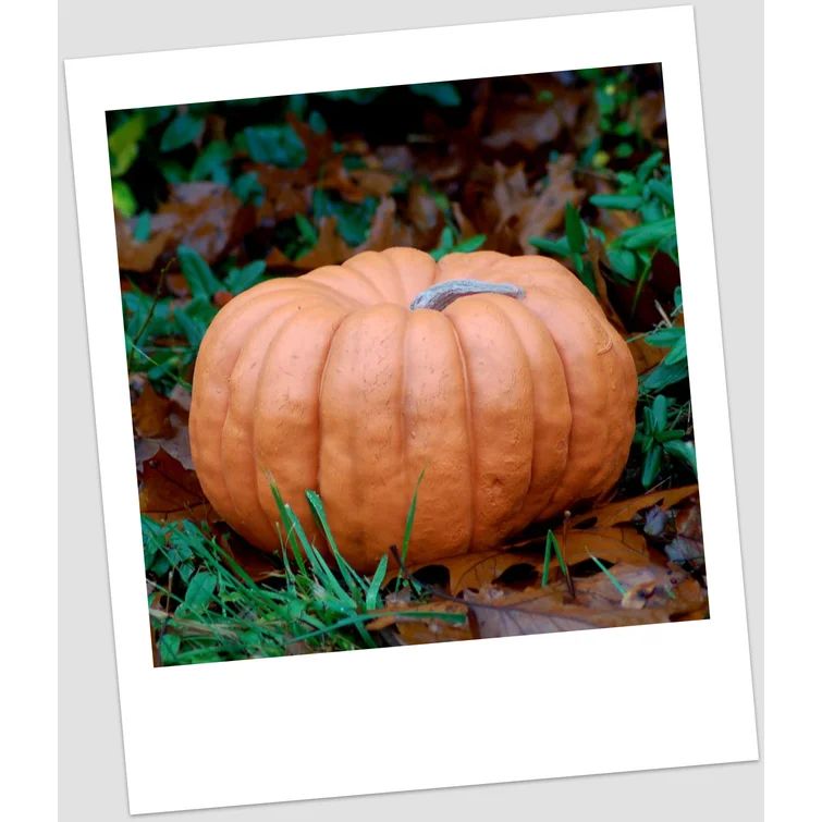 Pumpkin Figurine | Wayfair North America