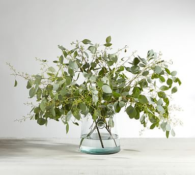 Live Seeded Eucalyptus Bunches | Pottery Barn | Pottery Barn (US)