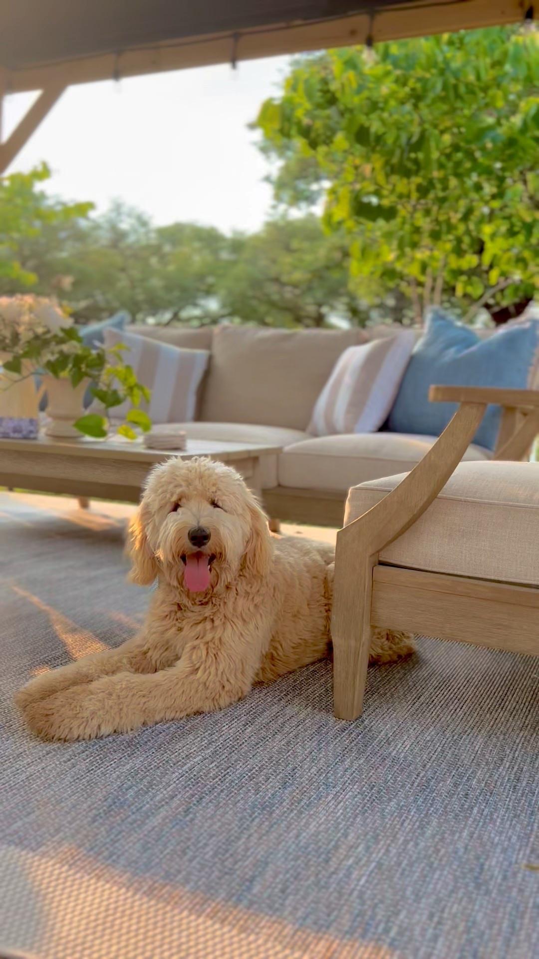 This outdoor rug is on sale right now. And in case it sells out I’ve gathered a few more that are similar. 

#LTKSummerEdit #LTKHome #LTKSaleAlert