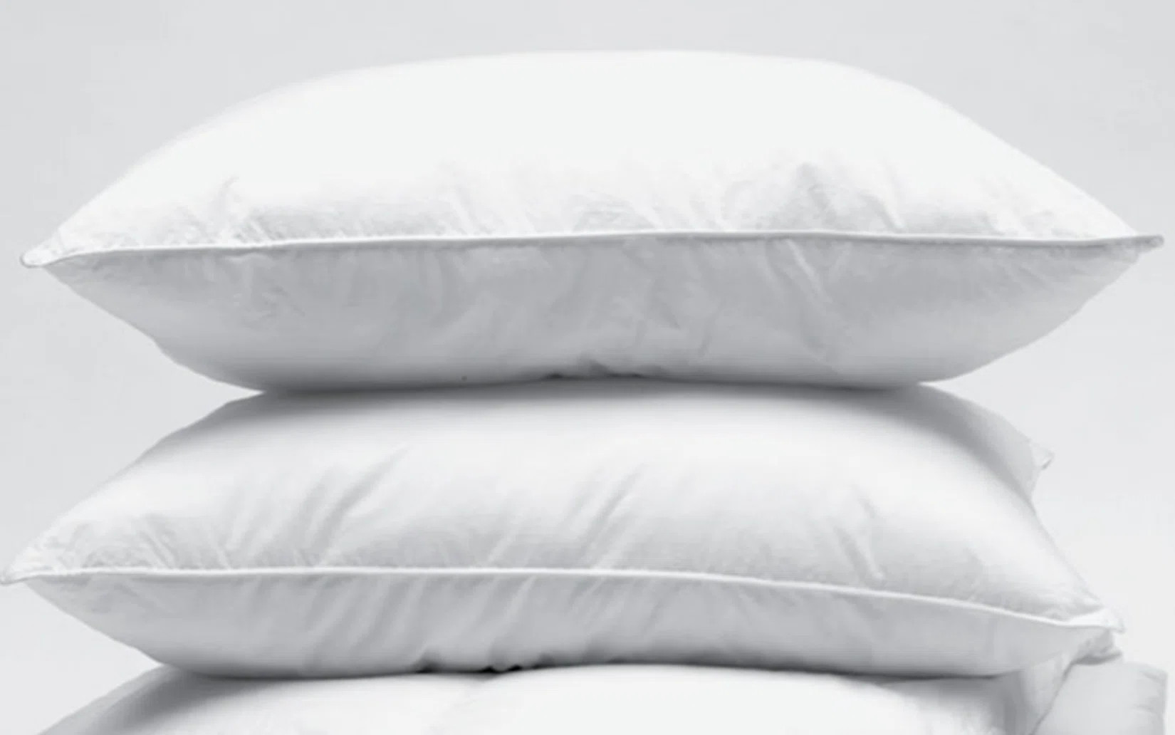 Aliya Down Alternative Medium Support Pillow By Rifz Textiles (Set of 2) | Wayfair North America