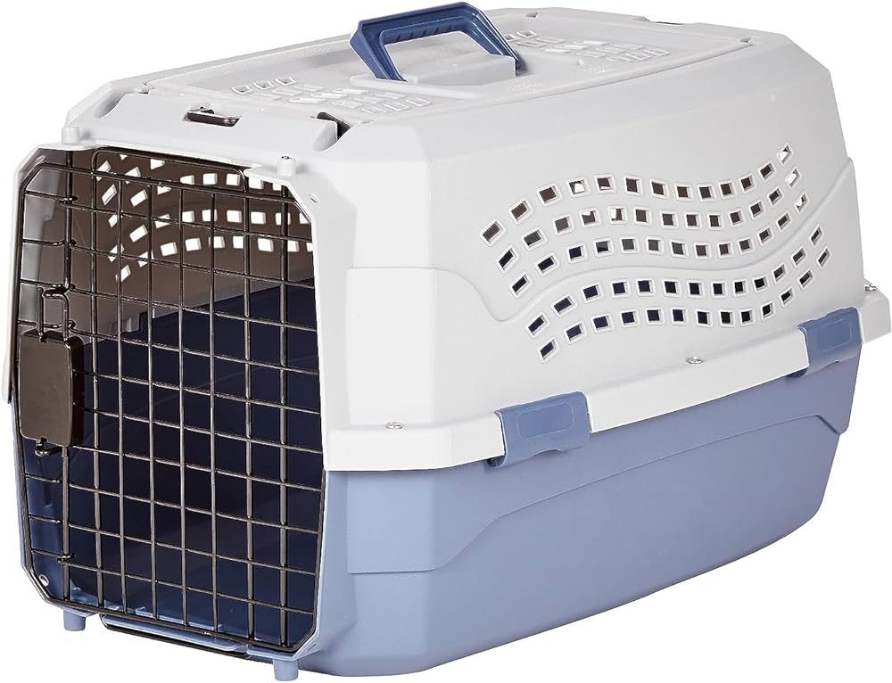 Amazon Basics - 2-Door Top-Load Hard-Sided Dogs, Cats Pet Travel Carrier, Gray & Blue, 22.8"L x 1... | Amazon (US)