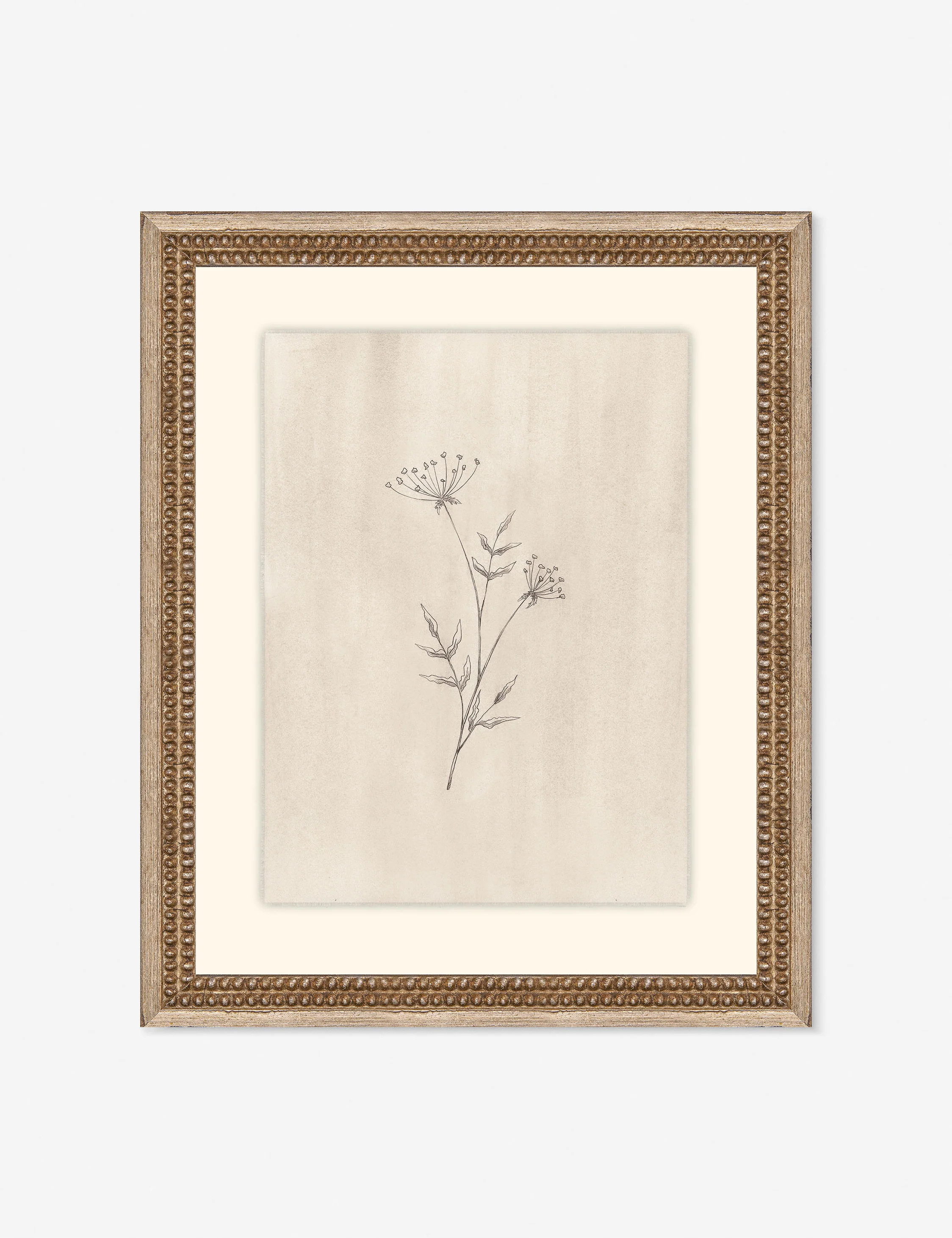 Elegant Botanical IV Wall Art | Lulu and Georgia 