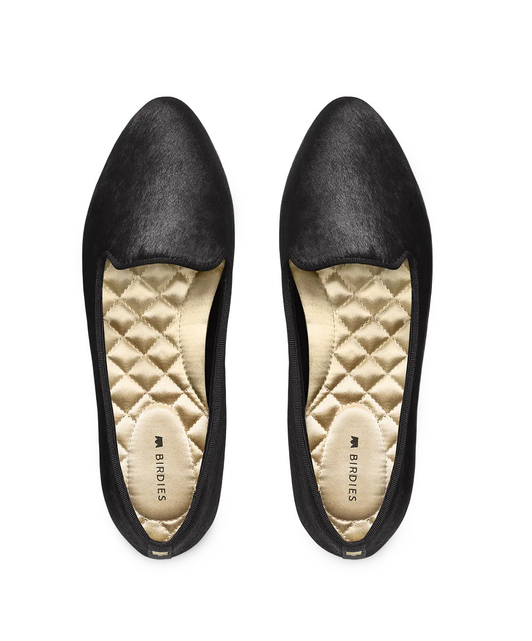 The Blackbird - Black | BIRDIES