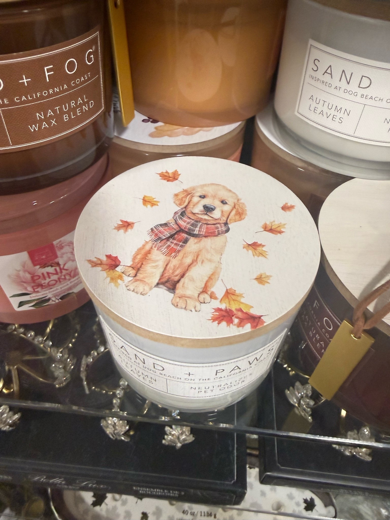 Cutest fall candle you ever did see🍂🍁🕯️



Fall candle / fall things / Homegoods finds / Homegoods shopping / golden retriever / golden things

#LTKdayinmylife #LTKSeasonal #LTKHome