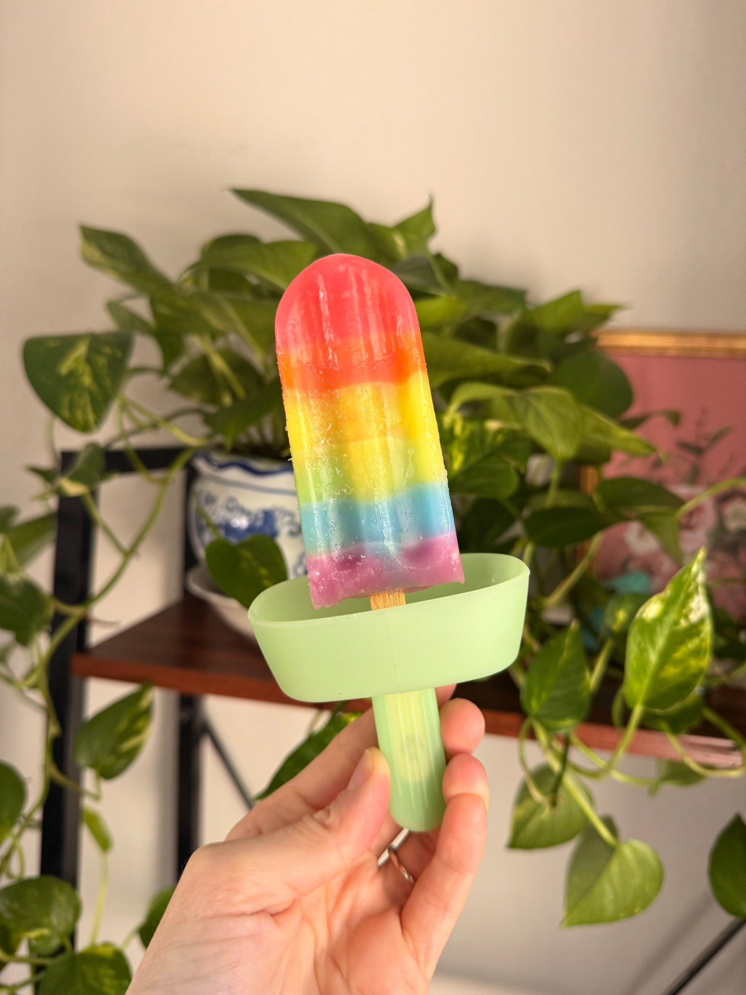 Popsicles holders are rad. Washable and come in fun colors. Under 10$ 

#kids #springbreak #popsicles #parenthacks 

#LTKSeasonal #LTKKids #LTKSpringSale