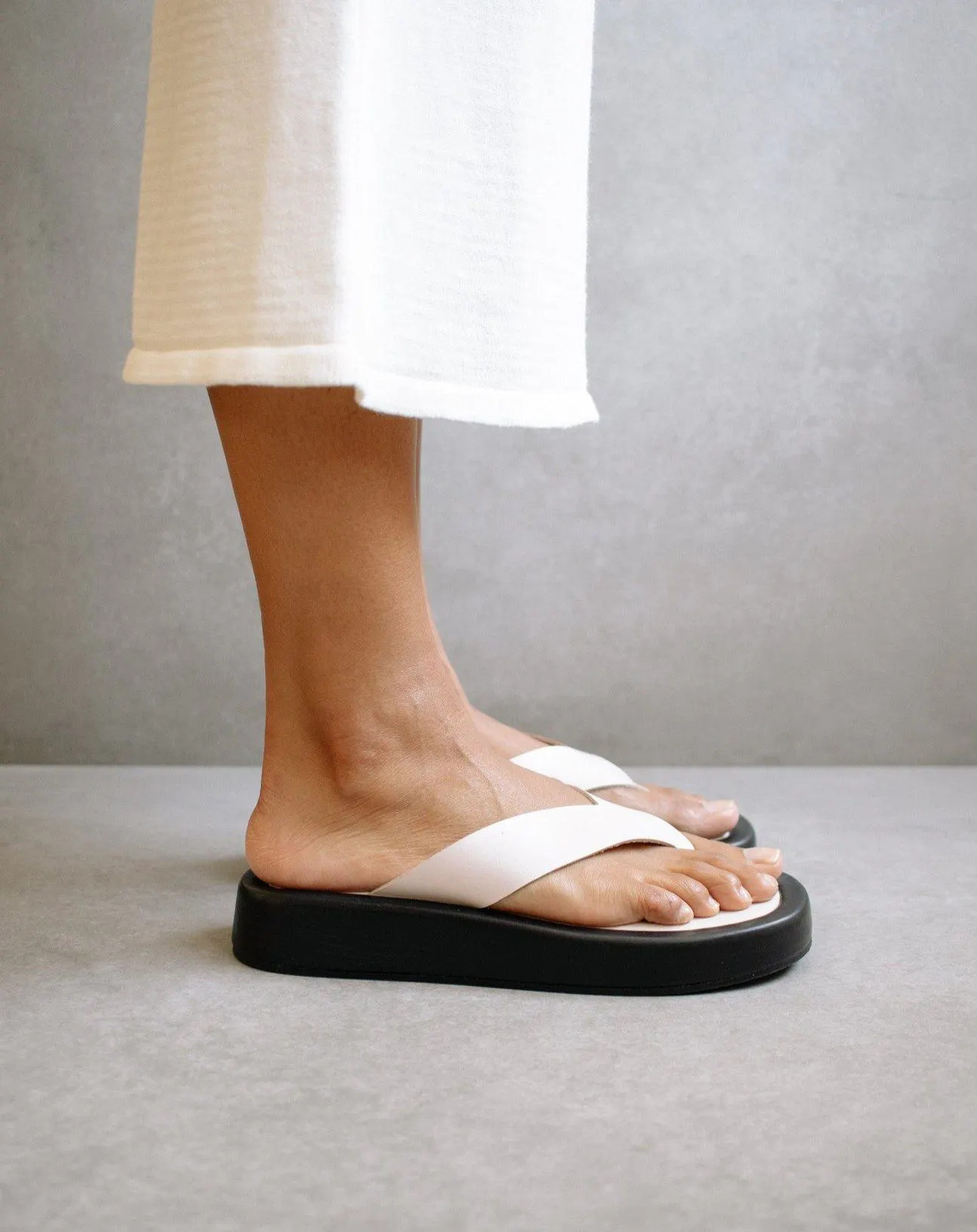 ALOHAS Overcast Ivory | Verishop