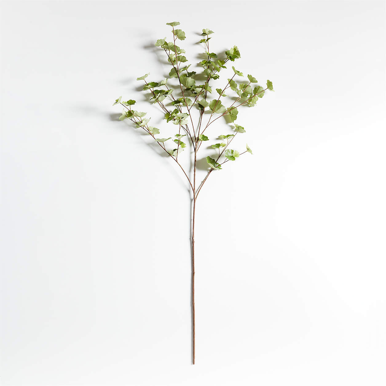 Faux Herb Branch 40" + Reviews | Crate & Barrel | Crate & Barrel