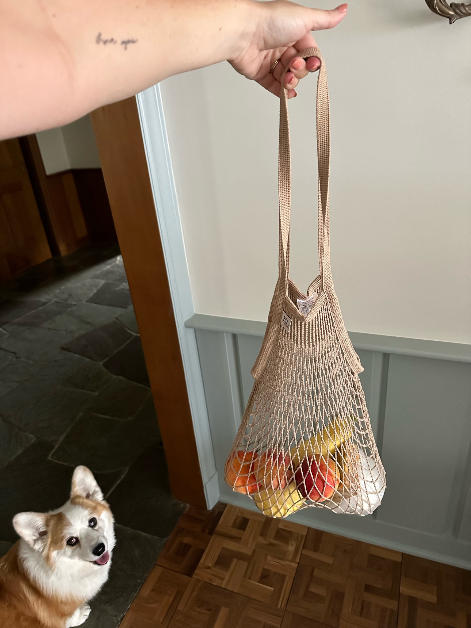 If you’re a farmers market girlie too, you need some Frenchy net totes in your life. 

#LTKFindsUnder50 #LTKSeasonal #LTKItBag