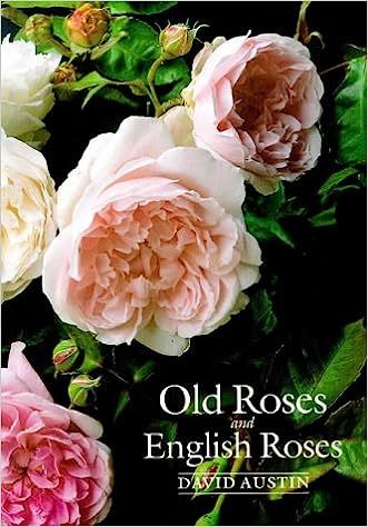 Old Roses and English Roses | Amazon (US)
