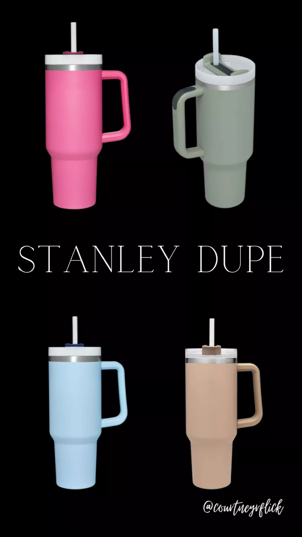Disney Stanley Dupe curated on LTK