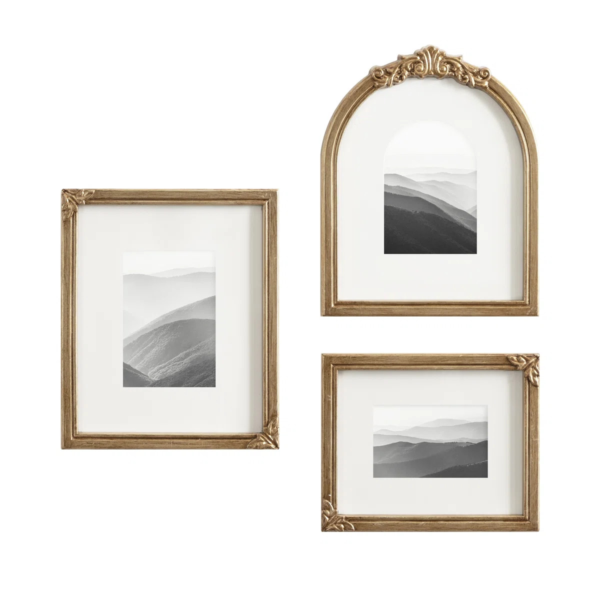 Arendahl Three-Piece Vintage Ornate Picture Frame Set | Wayfair North America