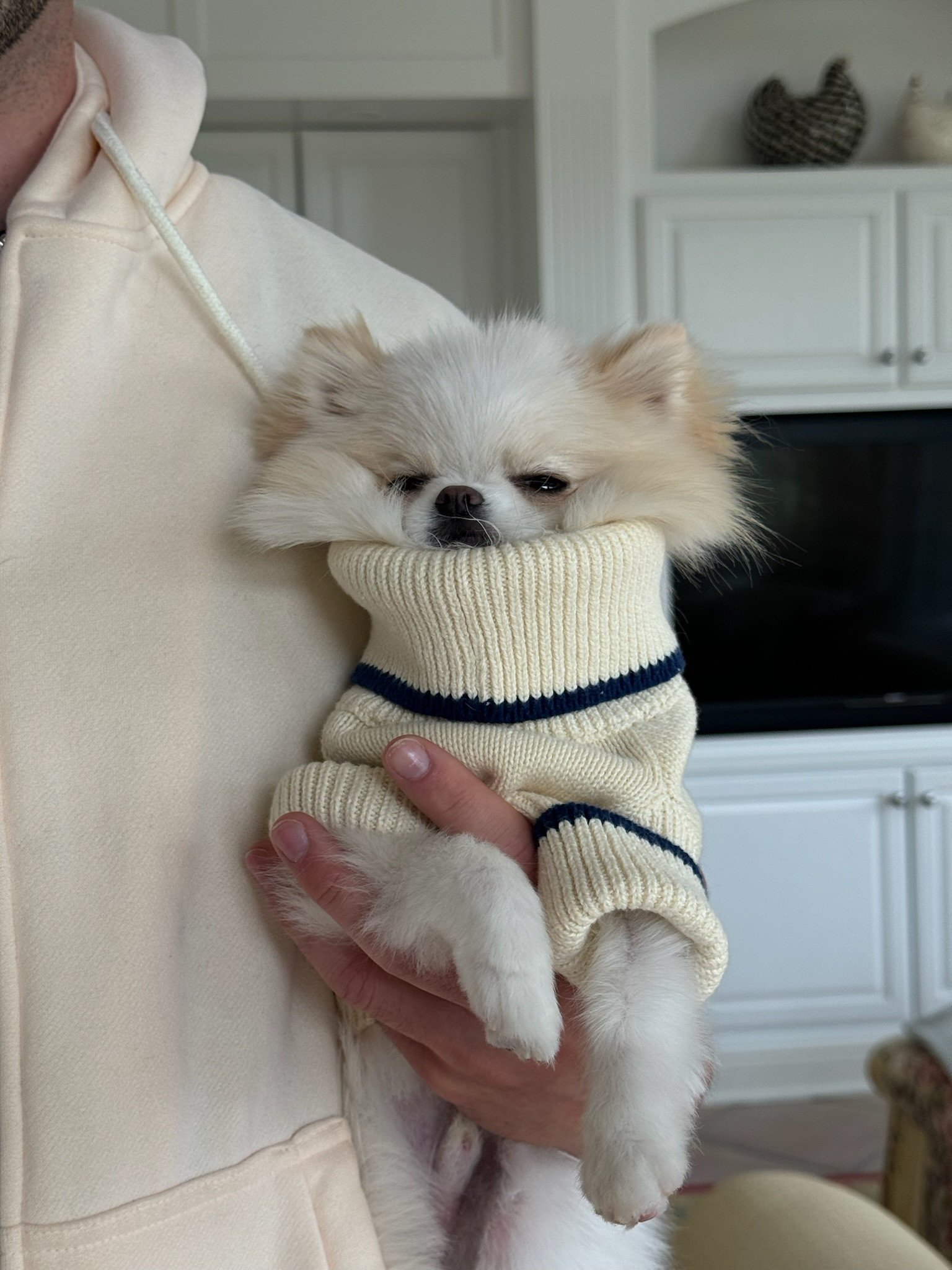 Like come on 🥹🥹🥹🥹 this dog sweater might be the cutest thing I have ever bought

Dog sweater - revolve finds - dog sweater on sale - Beverly Hills x revolve 

#LTKsalealert #LTKstyletip #LTKfindsunder50