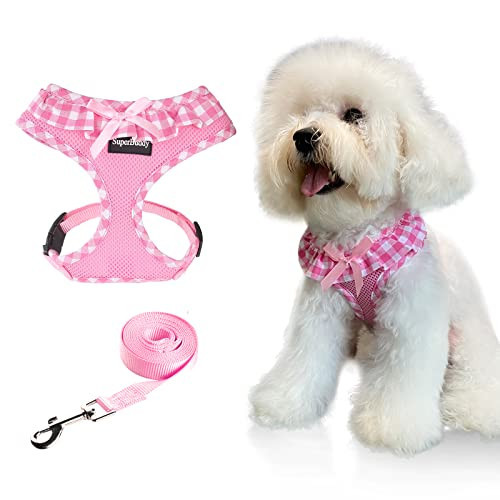 SuperBuddy Upgraded Soft Mesh Dog Harness, Super Breathable Lightweight Pet Harnesses for Puppy Dogs Outdoor Walking, Pink Dog Harness and Dog Leash Set Packing -XSmall | Amazon (US)