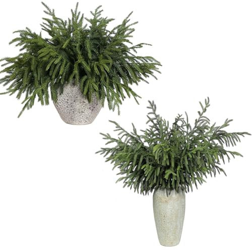 YXZZWL 16 Pcs Norfolk Pine Branches-18 & 4 Pcs Norfolk Pine Branches-36 for Vase DIY Garland Wreath Home Garden | Amazon (US)