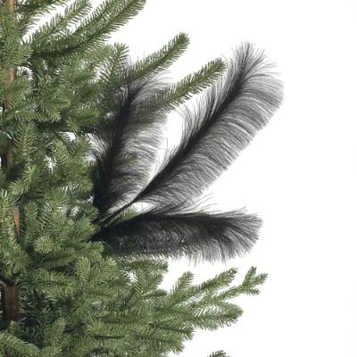 Pampas Grass Stems, Set of Six | Frontgate