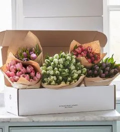 The Seasonal Subscription - Tulips | FLOWERBX