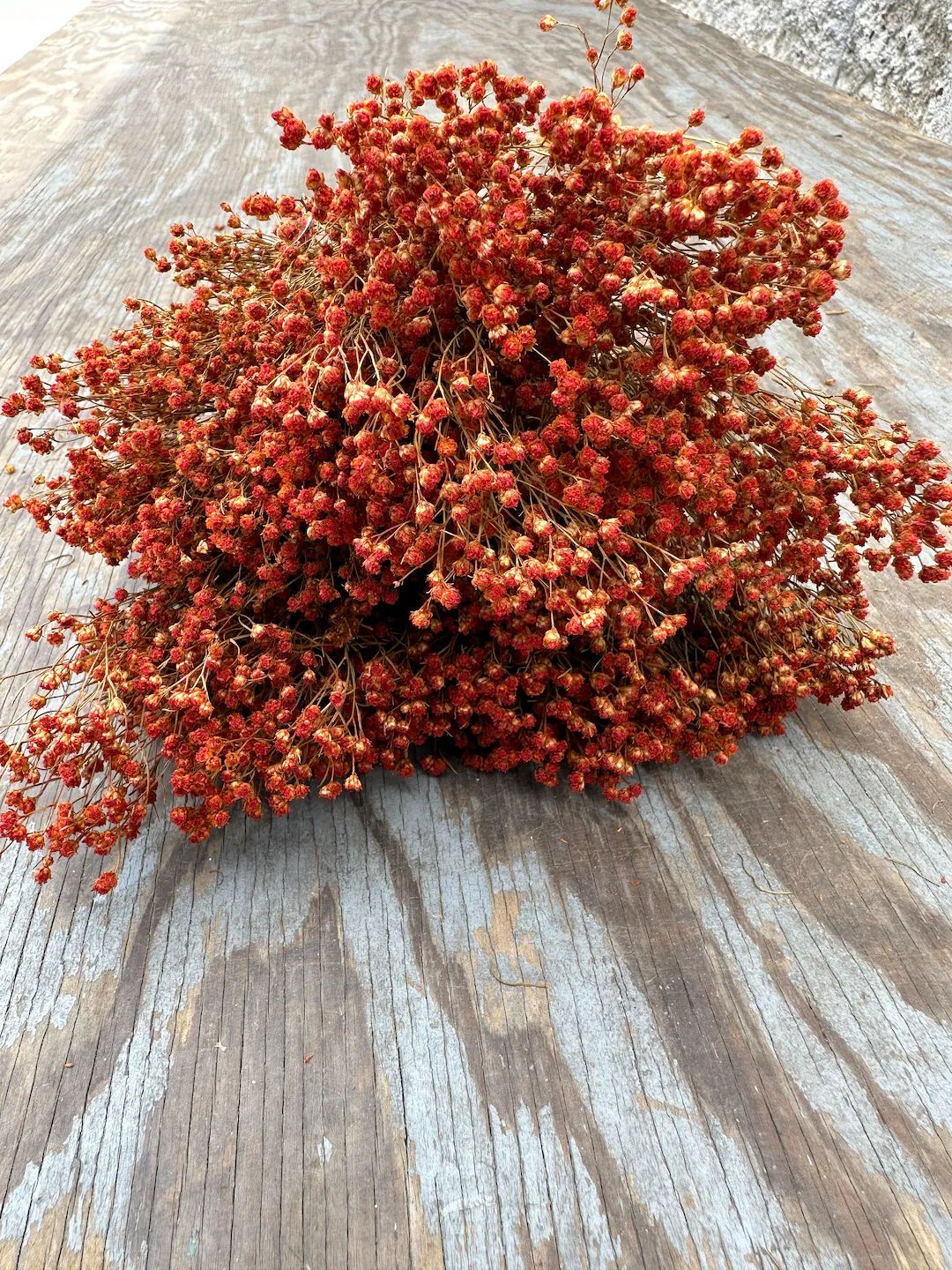 Orange Brooms Filler /terracotta Filler // Dried & Preserved Filler Flower - Etsy | Etsy (US)