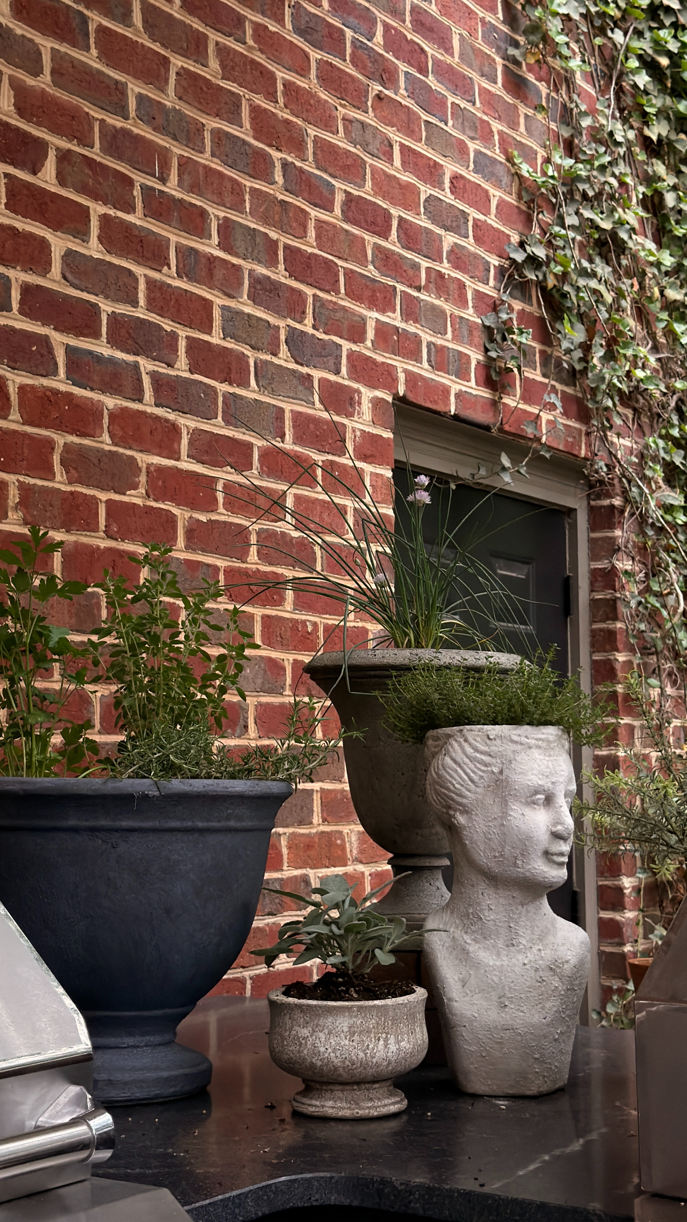 Outdoor planters make for an easy herb garden - I know Chris will love having this in our outdoor kitchen! 

 #LTKSeasonal #LTKHome