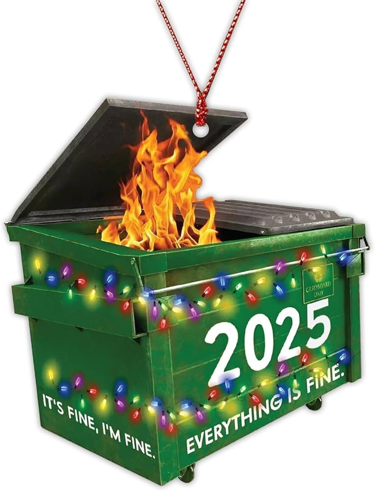 Dumpster Fire Christmas Ornaments 2025, Funny Holiday Decoration, Hanging Ornament, Dumpster Fire... | Amazon (US)