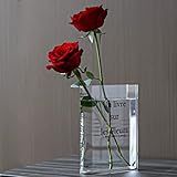 Clear Book Vase for Flowers, Acrylic Flower Vase With Cleaning Tools, Unique Modern Cute Aesthetic C | Amazon (US)