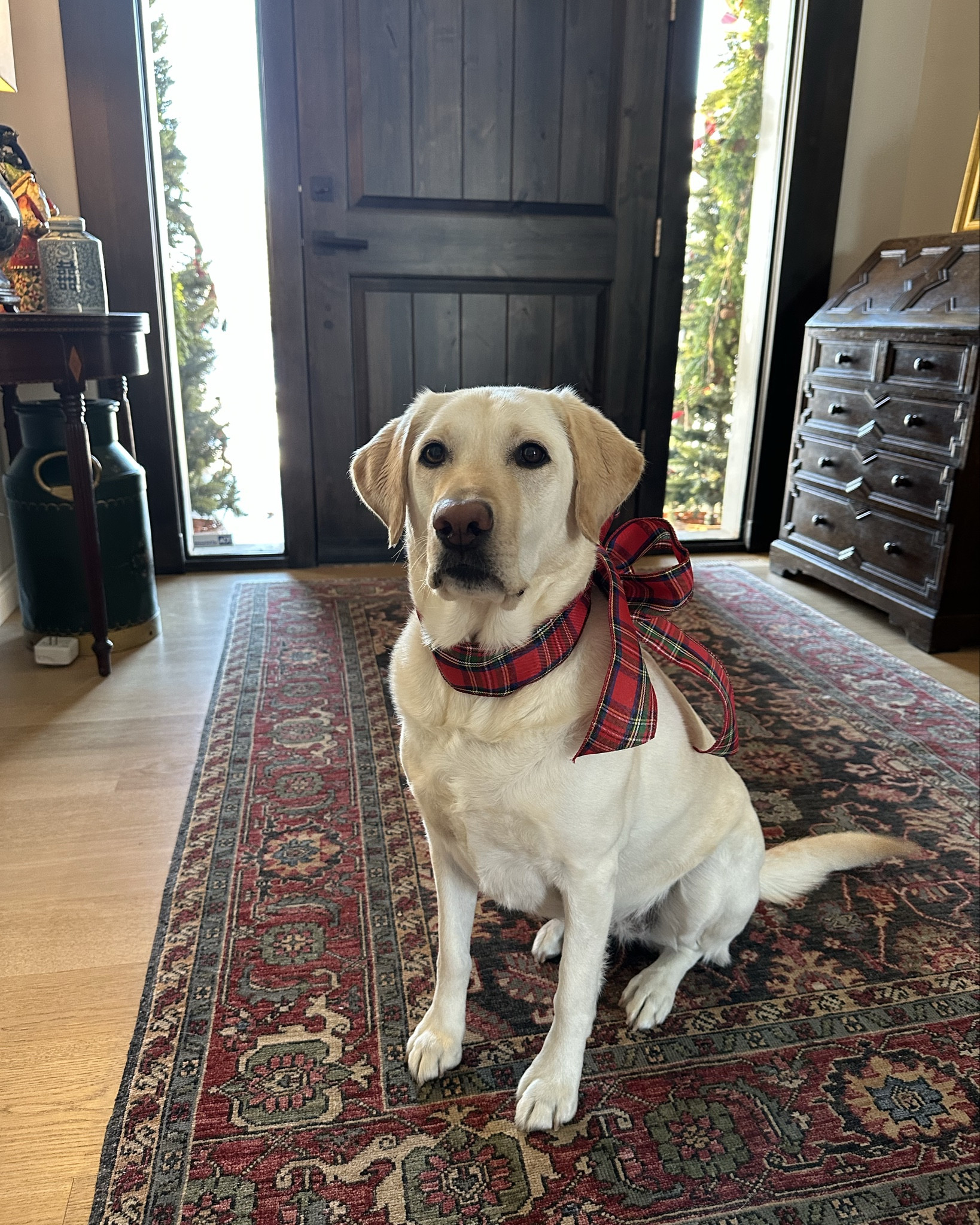 Christmas at home♥️
If you love traditional, classic Christmas decor with lots of plaid, hand blown glass  ornaments, beautiful linens, and an adorable yellow lab with a tartan bow, you’ve come to the right place!  Creating Christmas tablescapes brings me so much joy! Make sure you subscribe to my post alerts so you don’t miss a thing!

#LTKGiftGuide #LTKHome #LTKHoliday