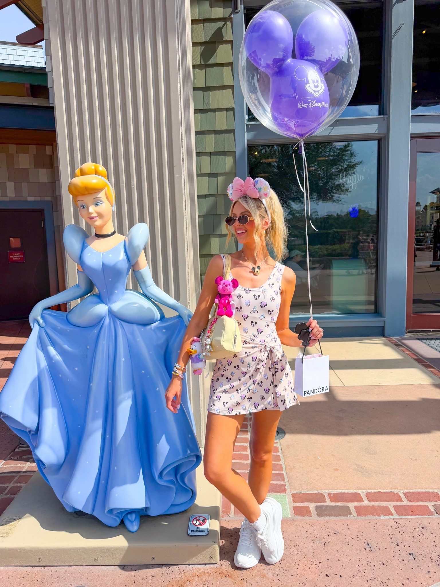 Fab 5 character dress🐭🩷💜✨