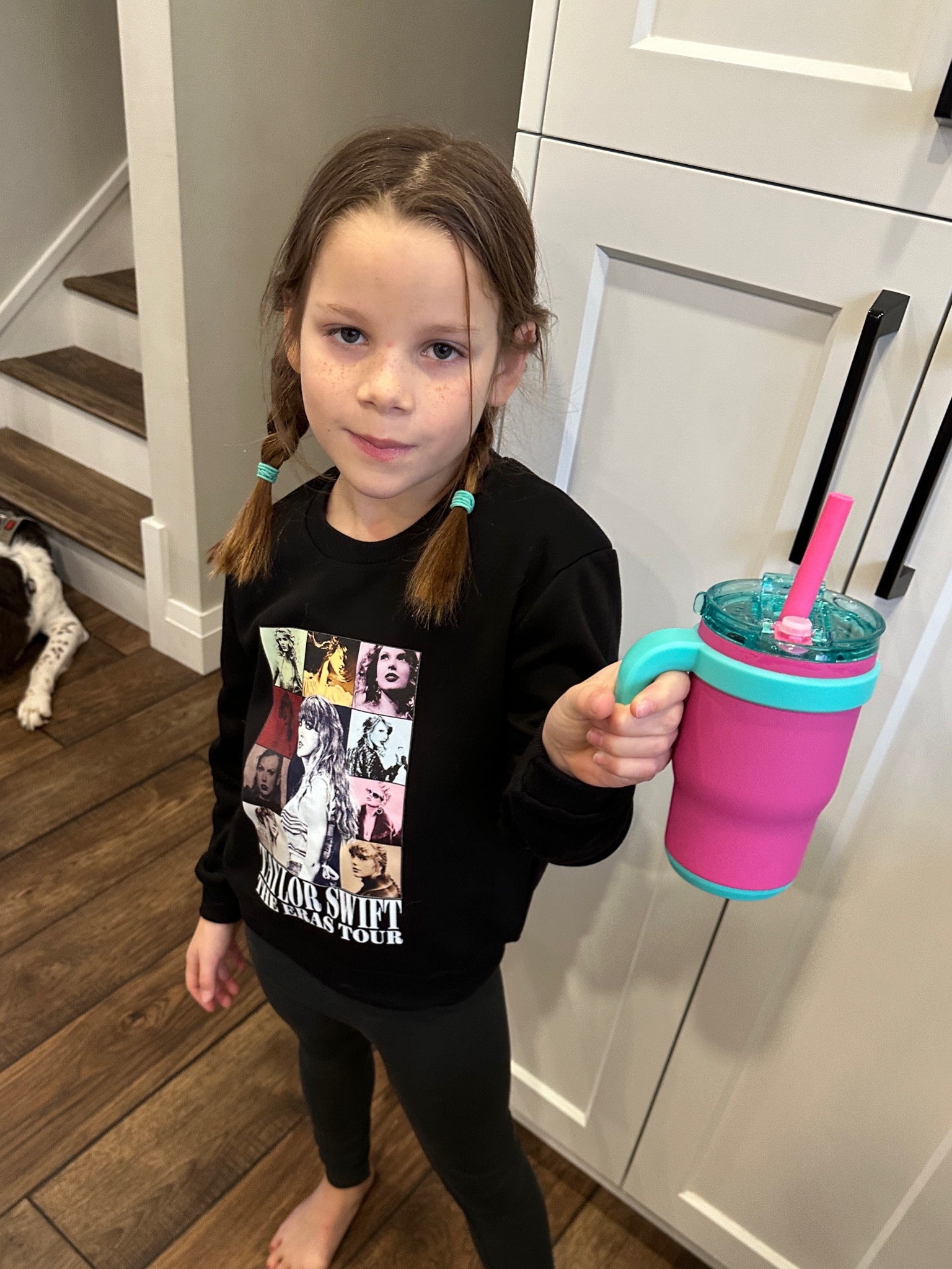 Mini Taylor Swift Fan with a Stanley inspired tumbler. Leak proof tumbler. Taylor Swift crew neck sweater