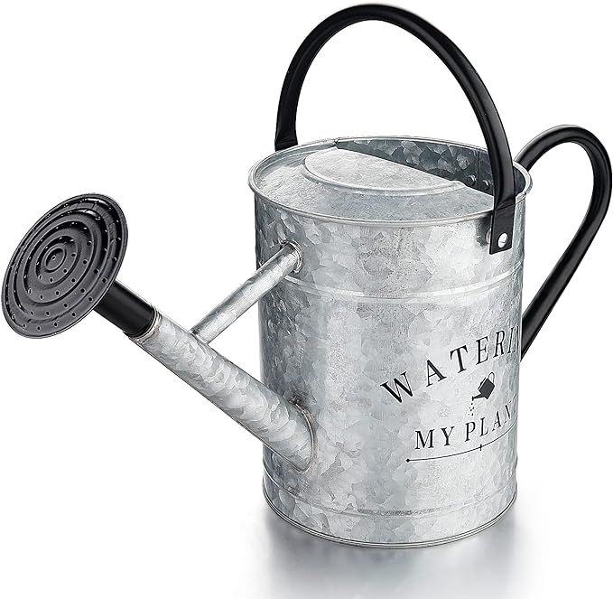 Galvanized Watering Can for Outdoor Indoor Plants, 1 Gallon Decorative Countryside Style Watering... | Amazon (US)