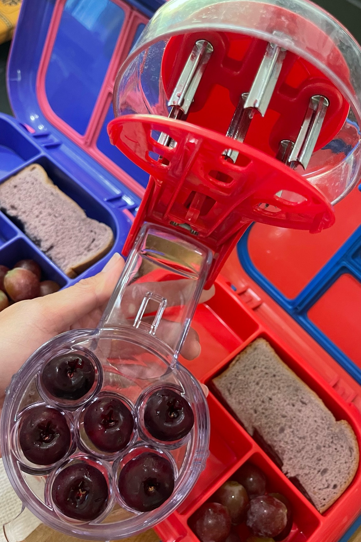 It’s hot AF and cherries 🍒 are in season (and on sale) so I got a bunch and made use of our cherry pitter that can handle pitting up to 6 cherries at once. This helps make fast work of packing bento lunchboxes for my kids this back to school season. 

Bento lunchboxes as well as my favorite produce keeper for berries are also linked 

#LTKHome #LTKFamily #LTKKids
